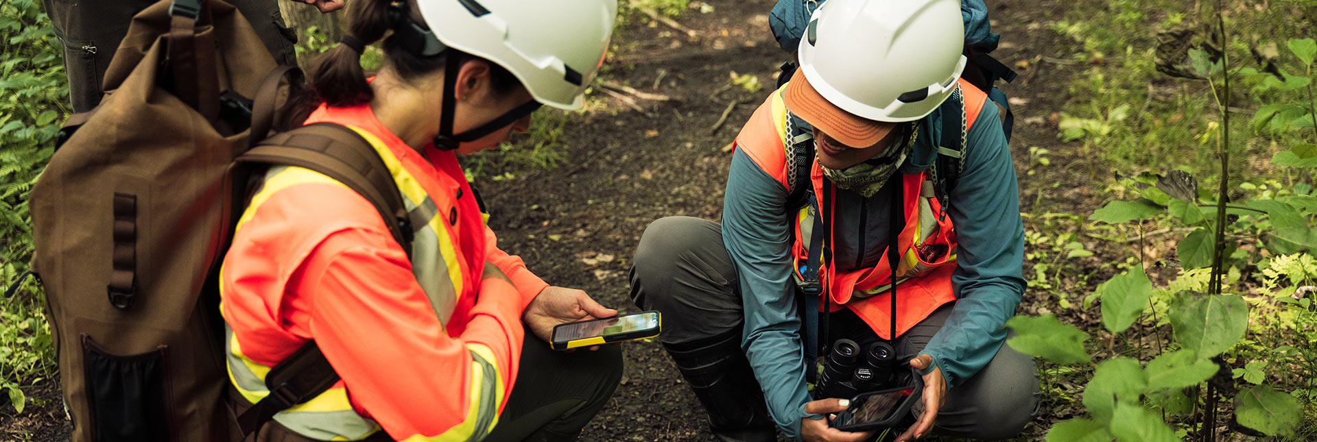 Two people analysing data on the field