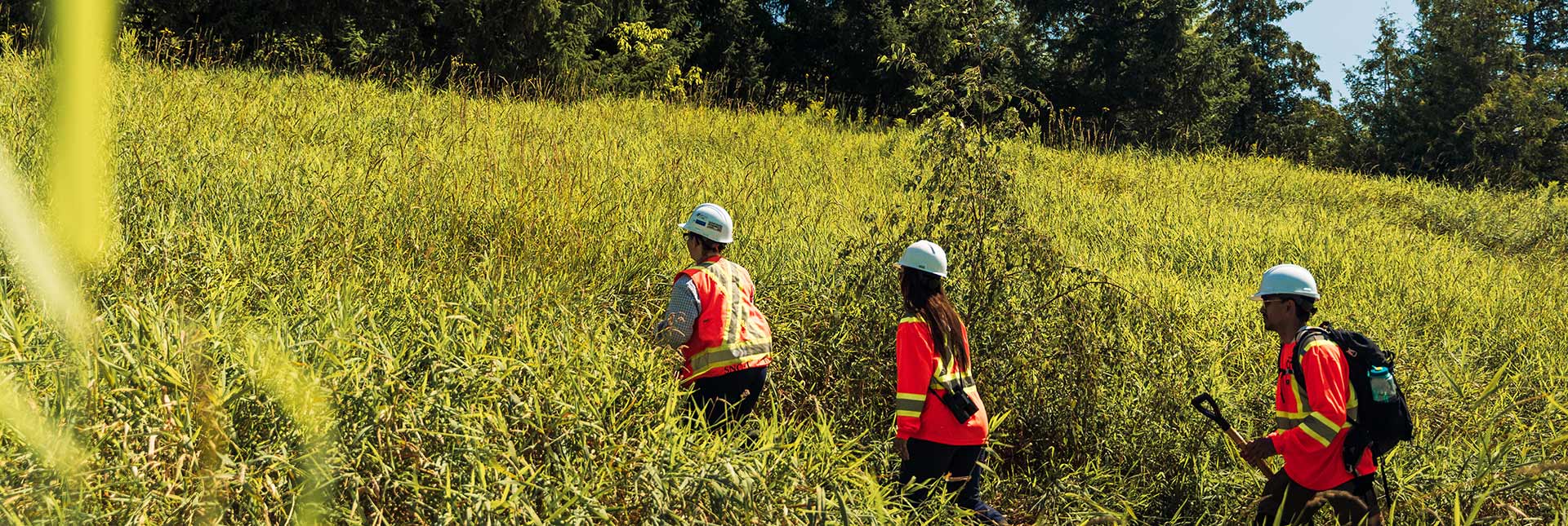 3 field scientists outside