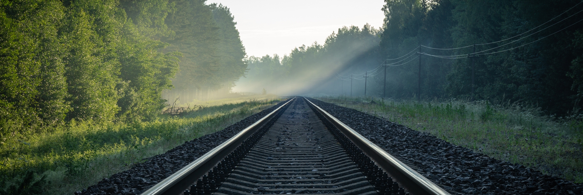 tracks