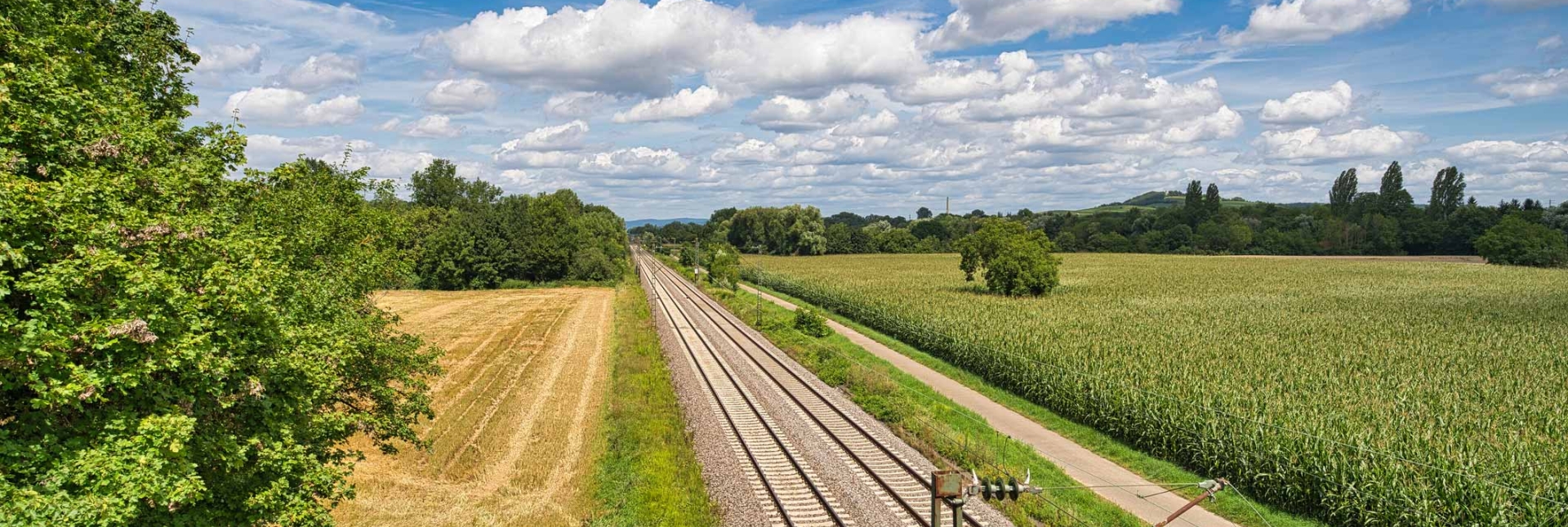 tracks
