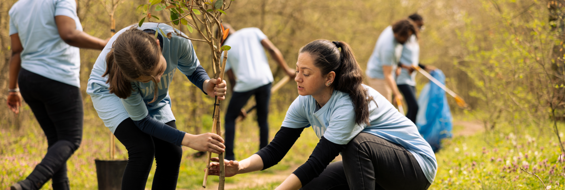 Group planting trees