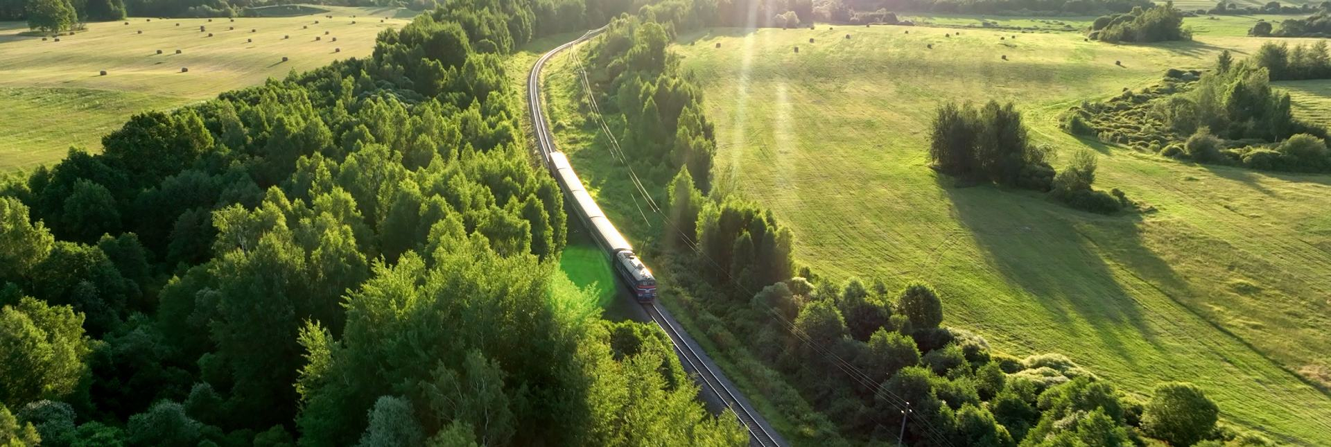 A train going between rows of trees surrounded by fields