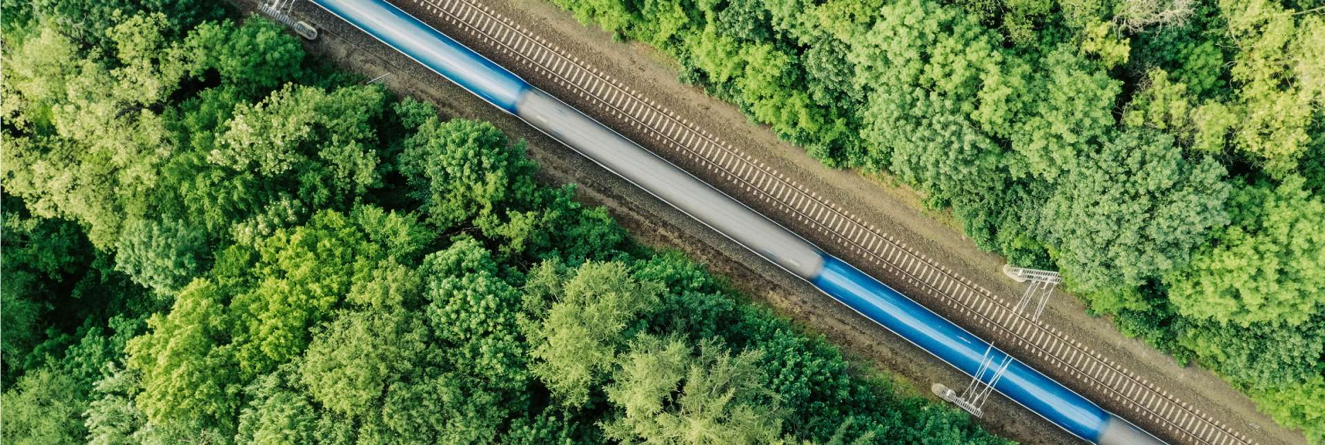 Un train bleu et blanc filant au milieu d'une forêt vue de haut