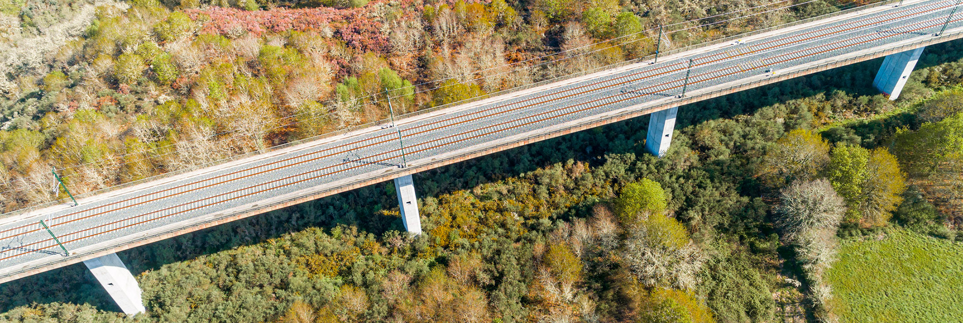 An elevated train track going over vegetation