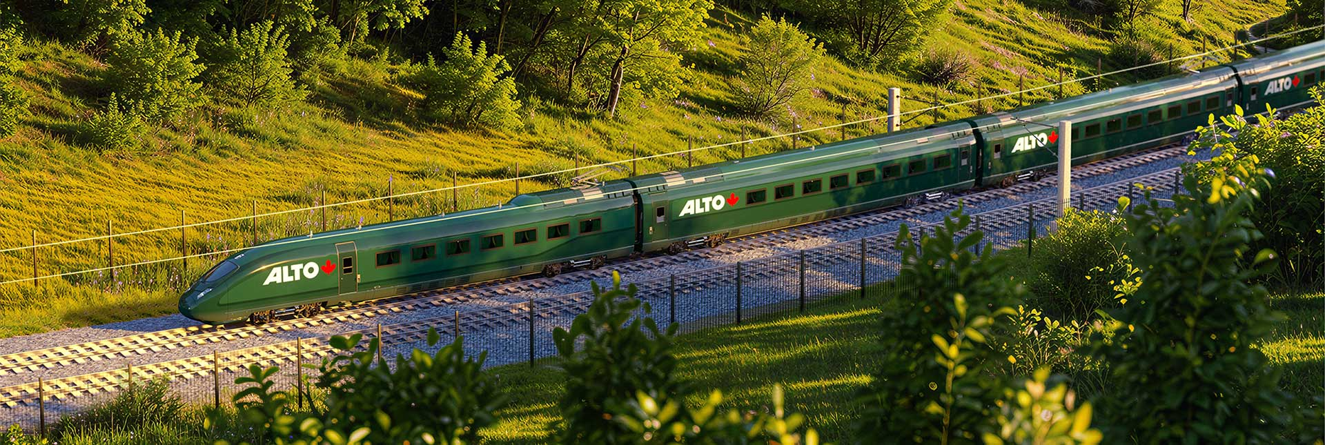 3D train Alto