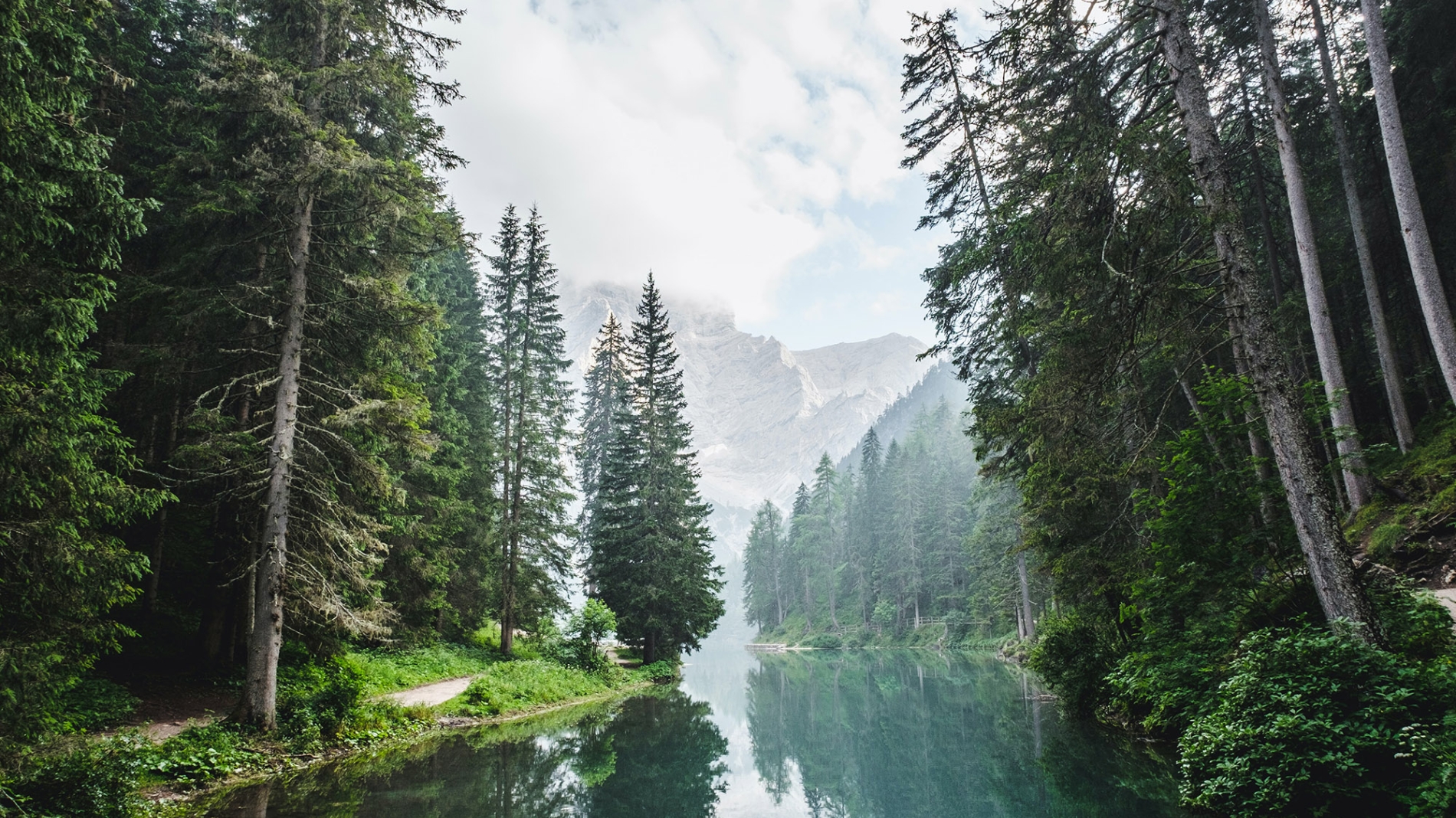luca-bravo-eskw2ayo2as-unsplash.jpg
