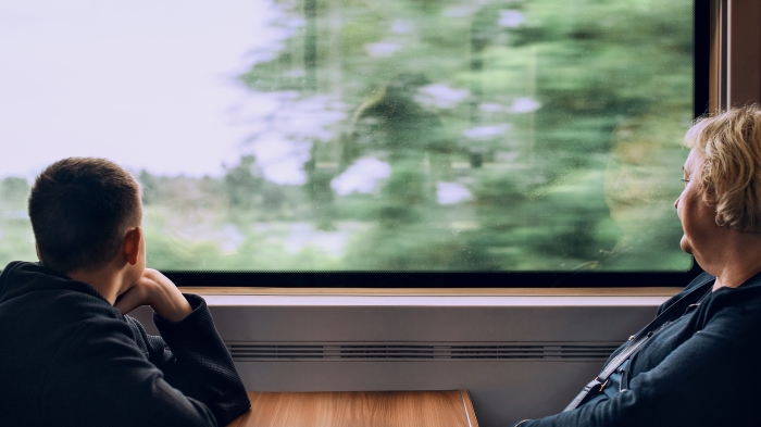 Two people sit on a train, gazing out at the passing green landscape.