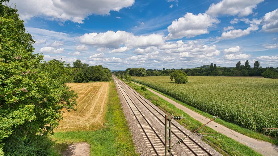 tracks