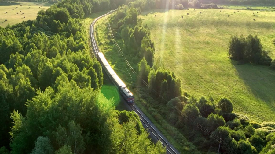 A train going between rows of trees surrounded by fields
