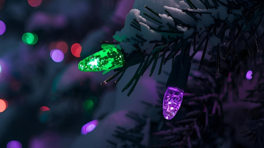 Colourful lights in a tree