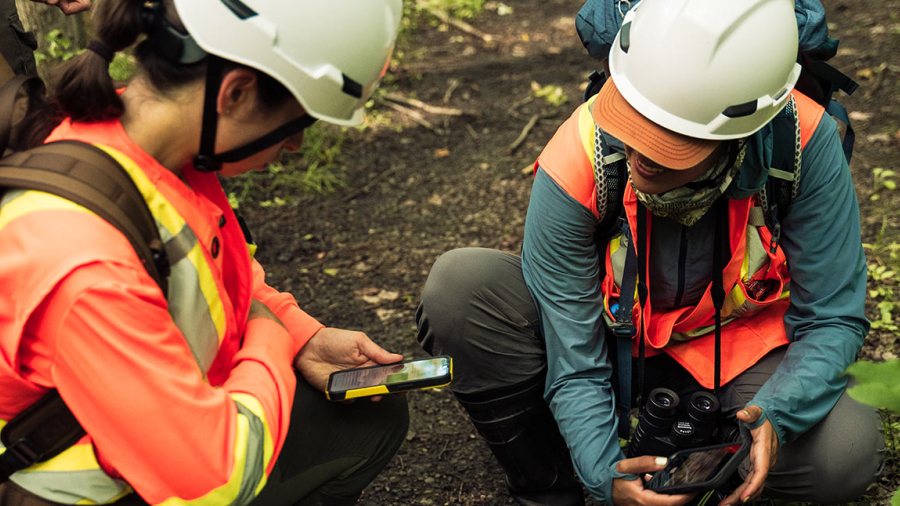 Two people analysing data on the field