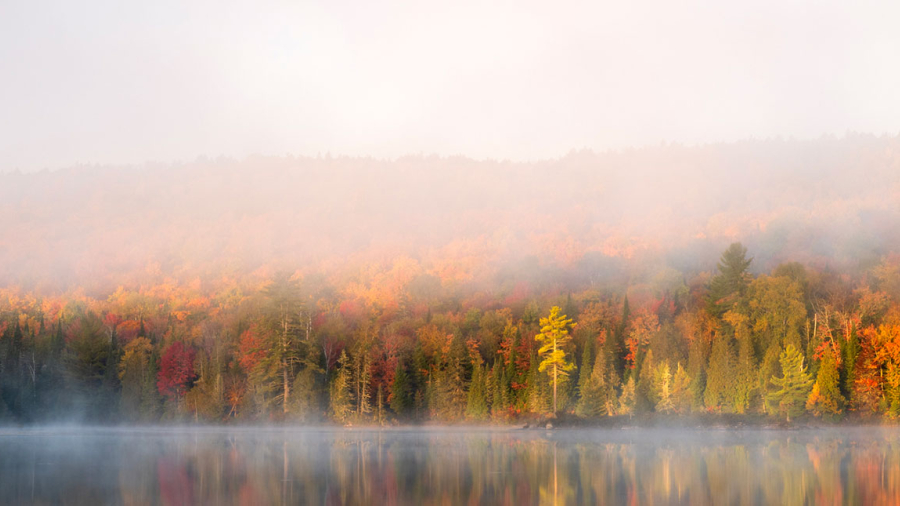 Shore of a lake next to a mount during fall with fog