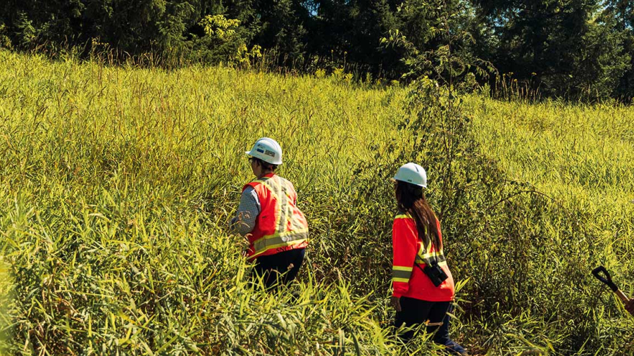 3 scientifiques sur le terrain