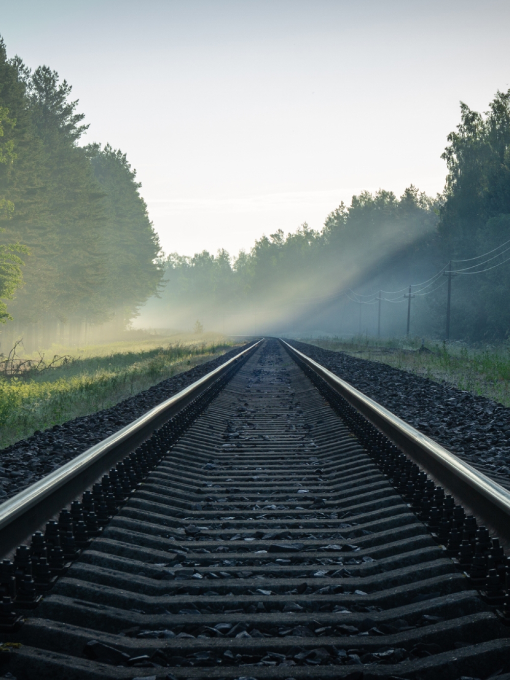 tracks
