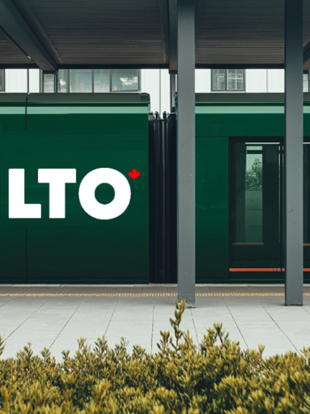 alto-train