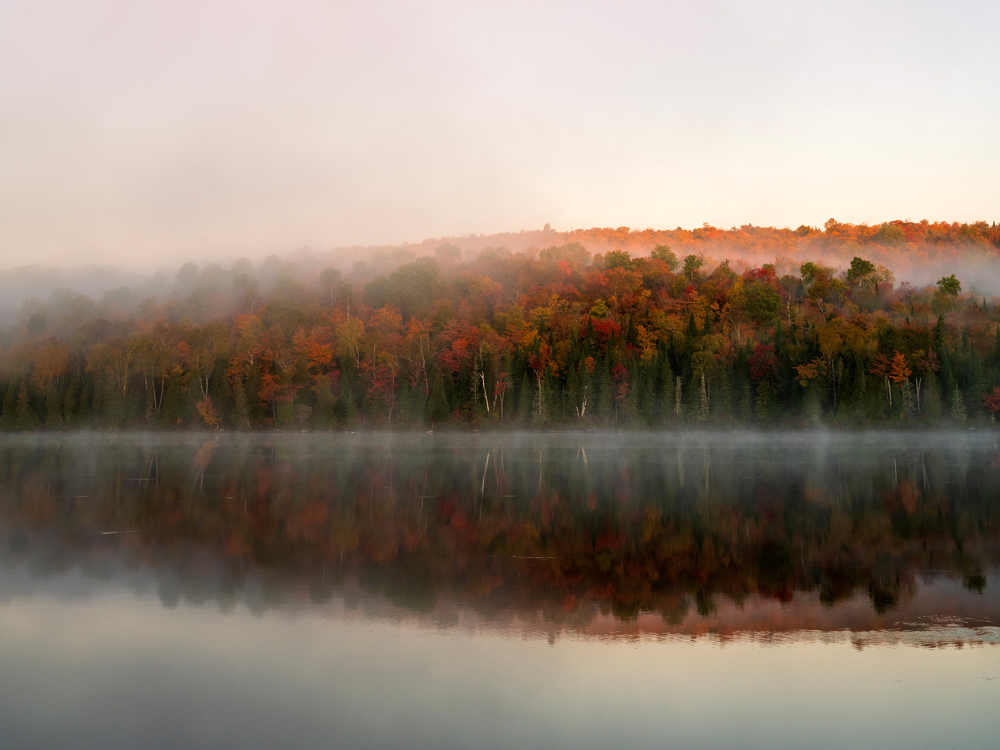 A serene autumn forest reflects gently on the still water of a lake, as morning mist rises under a soft pastel sky.