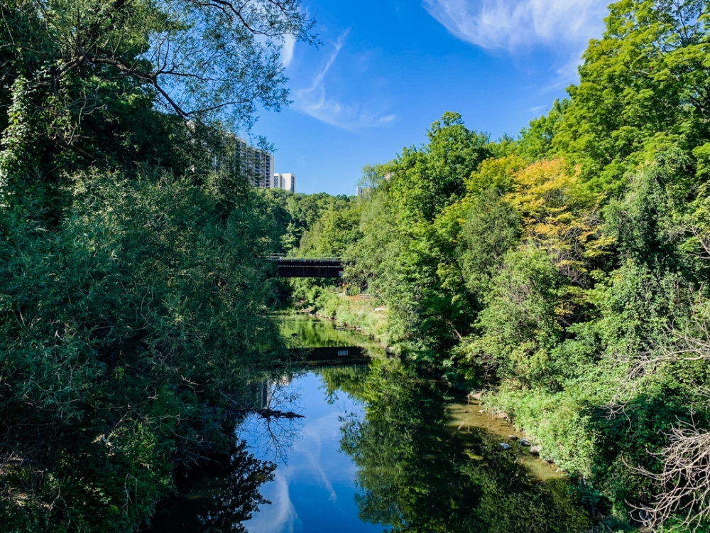 nature-water