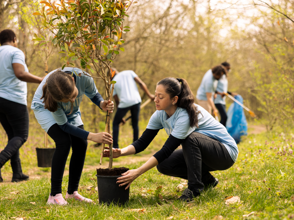 Group planting trees