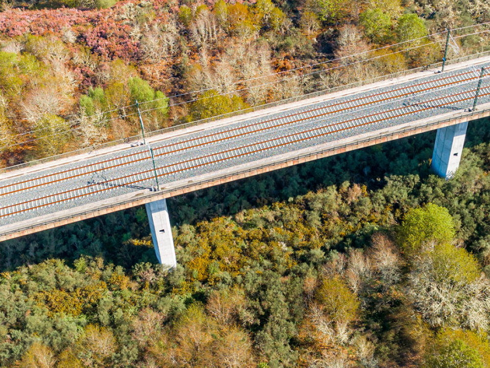Un chemin de fer surélevé qui passe par-dessus de la végétation