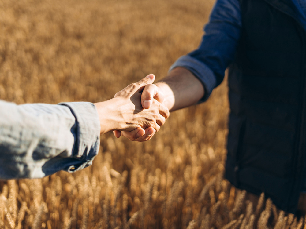 People shaking hands in a field