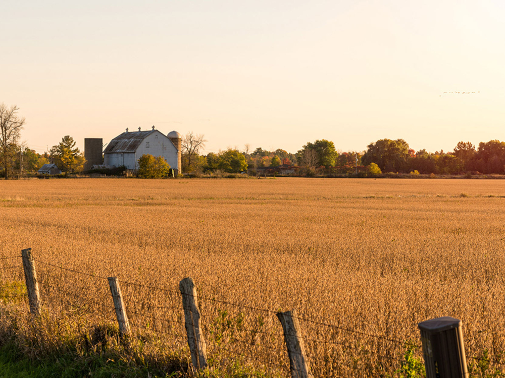 A field and a farm during golden hour